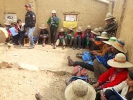 Ch’illka: De 80 variedades de papa existían, actualmente solo quedan 16 variedades