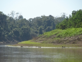 Madre Tierra y Derecho a la Consulta Previa amenazados por decretos