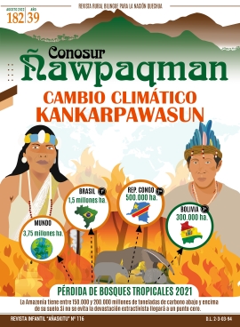 CÑ Nº 182: ¿Cambio Climático Kankarpawasun! (PDF)