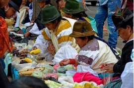SEMILLAS: Intentan someternos porque las semillas campesinas siguen vivas