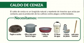 CARTILLA: Bioinsumos para una Agricultura Sustentable (PDF)