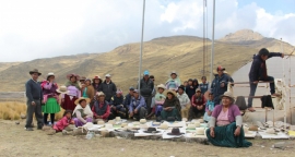 "Sombreros ecológicos de lana de oveja"