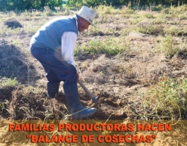 Balance Cosechas: Ciclo agrícola 2015-2016 &quot;KAY WATAQA WISALLAPAQ PUQUN&quot;