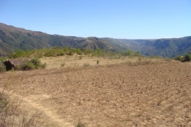 Intensas lluvias afectan la producción agrícola en Pabellón