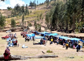 SANIPAYA: PRIMERA FERIA ECOLÓGICA Cultura de vida frente a cultura de destrucción y muerte