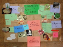 CUATRO ALIMENTOS IMPORTANTES QUE NO DEBEN FALTAR PARA UNA BUENA ALIMENTACIÓN