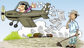 EDITORIAL: Transgénicos Amenazan agrobiodiversidad y salud en Bolivia