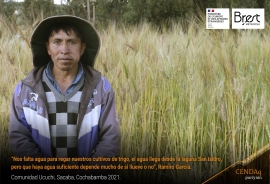 Ucuchi: “Nos falta agüita para producir más trigo”