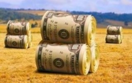 EE.UU Más allá de Trump: Cómo la privatización de la presidencia por un billonario afectará nuestros