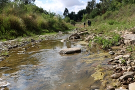 ¿Los ríos se restauran mientras estamos en cuarentena?