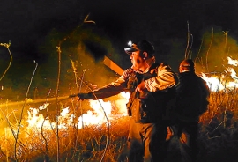 Medio Ambiente: Leyesta urqhumunku montesta chinkarichinapaq. Sach’asqa parata mañan