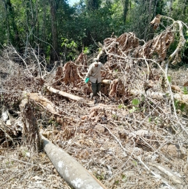 ¡¡BASTA DE AVASALLAMIENTOS!!