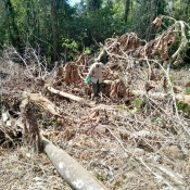 ¡¡BASTA DE AVASALLAMIENTOS!!