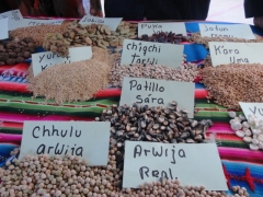 EVENTO: Intercambio de Experiencias:  SIN SEMILLAS NO HAY SOBERANÍA NI SEGURIDAD ALIMENTARIA