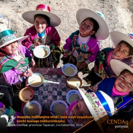 Añaskitu: Wawakunaq kawsaynin