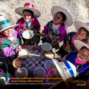 Añaskitu: Wawakunaq kawsaynin