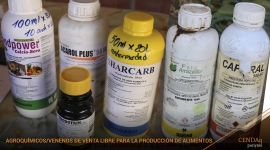 Cabecera de cuenca Maylanco – Sacaba: Impactos en la calidad del agua por uso de agroquímicos (CÑ 183)