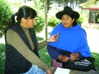 Maymanta Ley Avelino Siñani-Elizardo Pérez rikhurirqa, yacharina