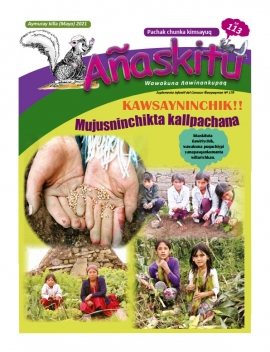 SUPLEMENTO INFANTIL AÑASKITU No.113: MUJUSNINCHIKTA KALLPACHANA