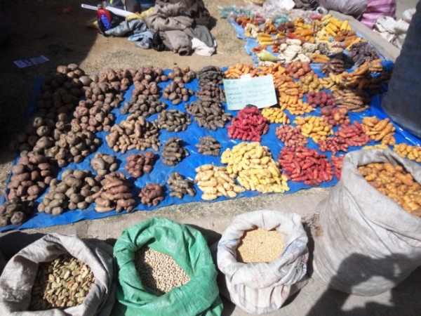 8va Feria Departamental Productiva: Diversidad y variedad de productos agropecuarios