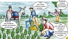 Pronunciamiento Nacional: RECHAZO TOTAL A LA AUTORIZACIÓN DEL USO DE SEMILLAS TRANSGÉNICAS EN BOLIVIA