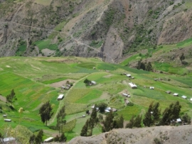 Ch’illka Grande: Tapacarí 6º FERIA DEL CHOCLO Y TORO TINKU