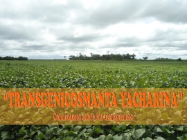 “TRANSGENICOSMANTA YACHARINA” Conozcamos sobre los transgénicos