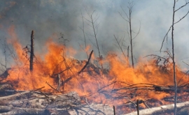Pronunciamiento: Crisis climática y crisis sanitaria, respuestas más contundentes (PDF)