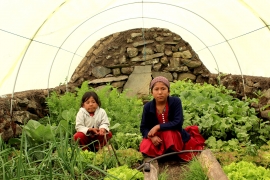 LAS NIÑAS Y NIÑOS SOMOS PARTE DE LA SEGURIDAD ALIMENTARIA