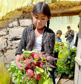 HUERTOS ESCOLARES: Una oportunidad para la Seguridad y Soberanía Alimentaria (CÑ 183)